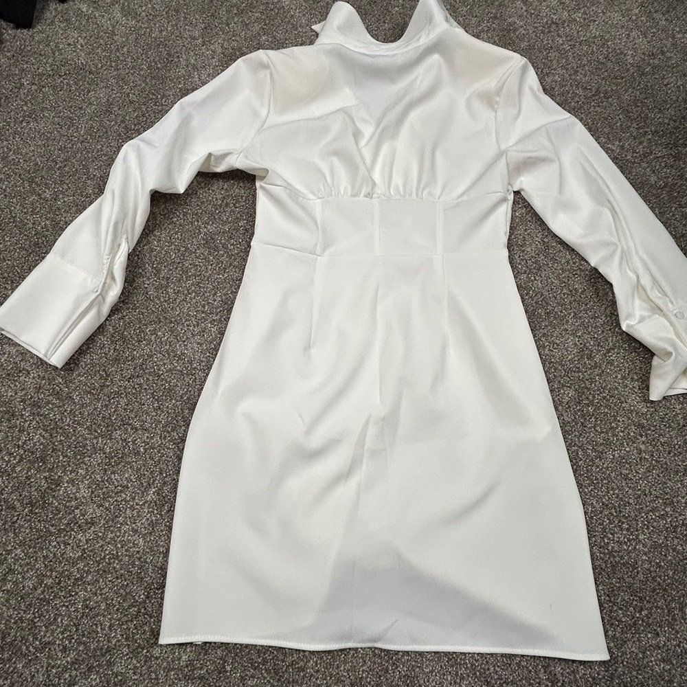 Zara Dress - Picture 4 of 4